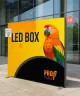LED BOX fal 200x200cm