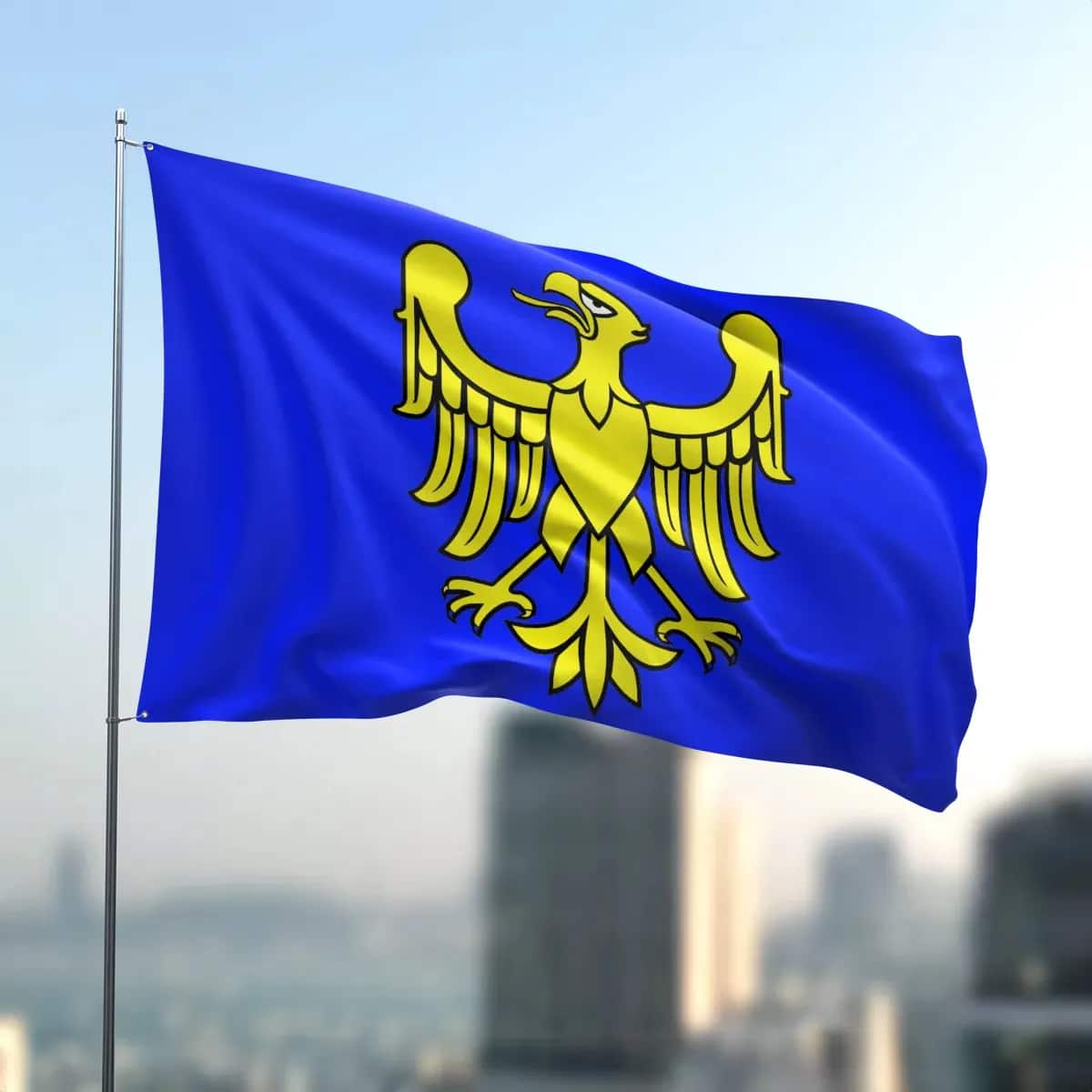 Drapeau régional Śląskie avec armoiries – sur mesure – Image du produit